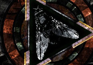 Project screenshot